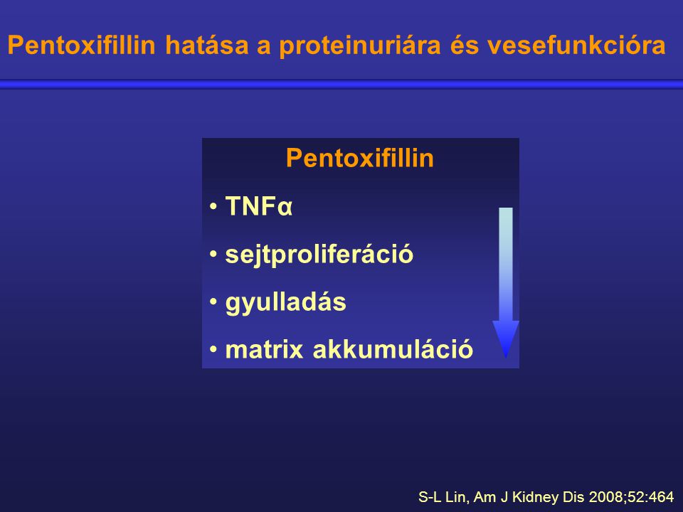 Pentoxifillin hatása a proteinuriára és vesefunkcióra