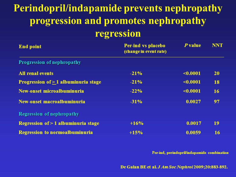 Perindopril/indapamide prevents nephropathy progression and promotes nephropathy regression