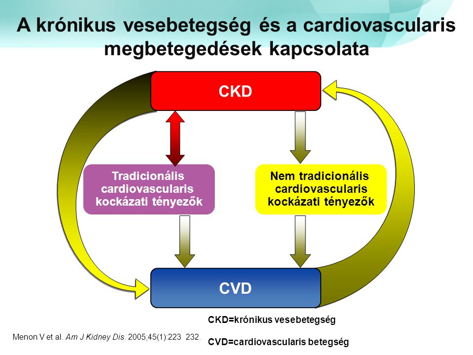 A krónikus vesebetegség és a cardiovascularis megbetegedések kapcsolata
