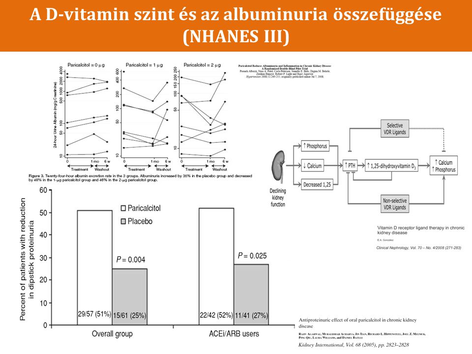 A D-vitamin szint és az albuminuria összefüggése