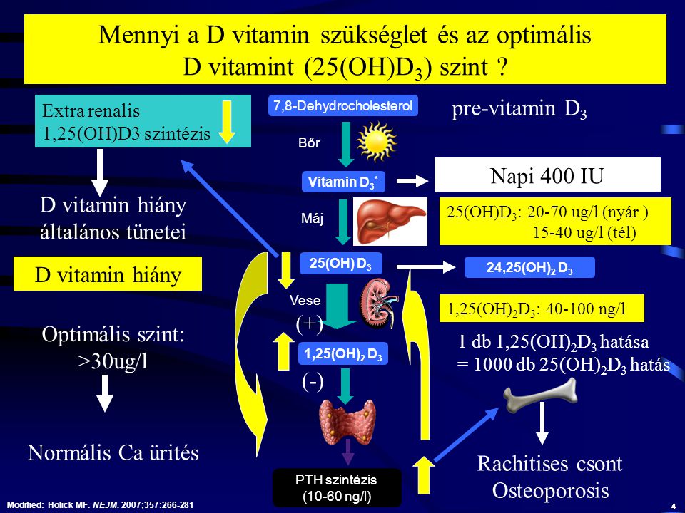 Mennyi a D vitamin szükséglet és az optimális D vitamint (25(OH)D3) szint