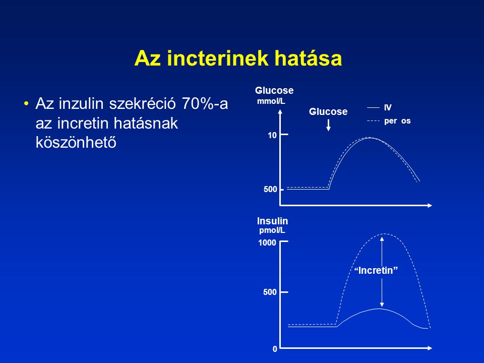 Az incterinek hatása Glucose. IV. per os. mmol/L Az inzulin szekréció 70%-a az incretin hatásnak köszönhető.