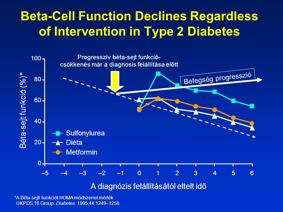 Beta-Cell Function Declines Regardless of Intervention in Type 2 Diabetes