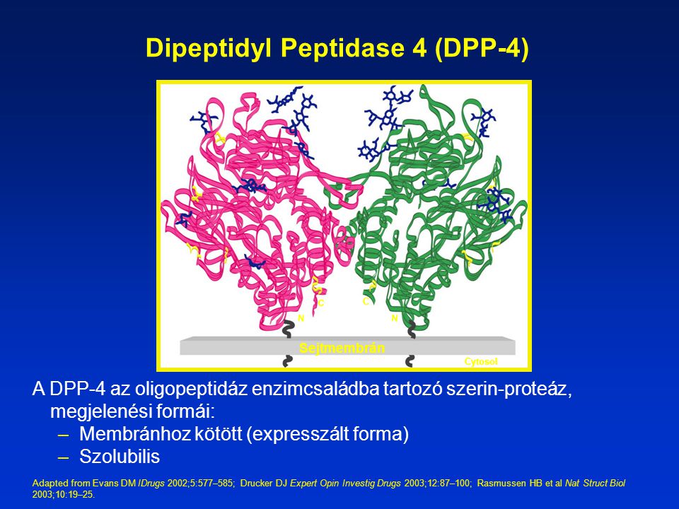 Dipeptidyl Peptidase 4 (DPP-4)