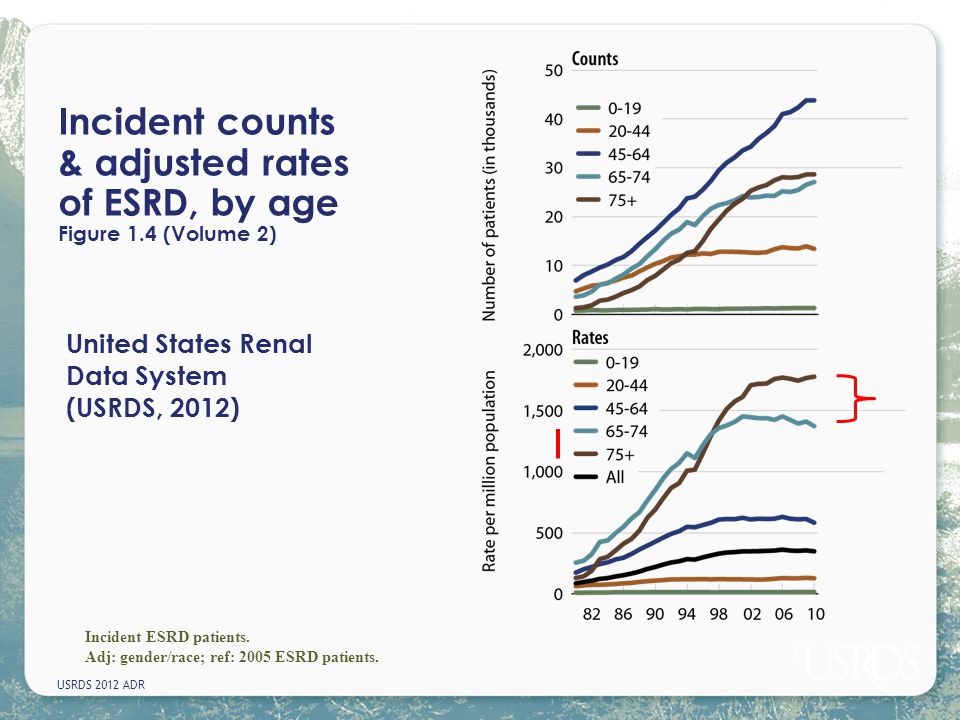 Incident counts & adjusted rates of ESRD, by age Figure 1.4 (Volume 2)