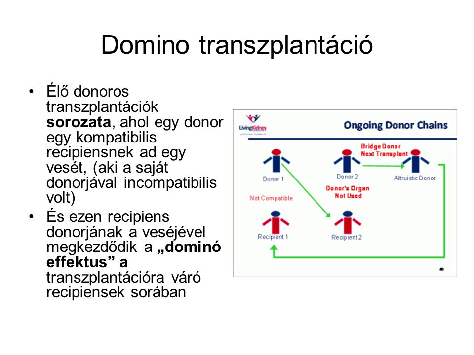 Domino transzplantáció