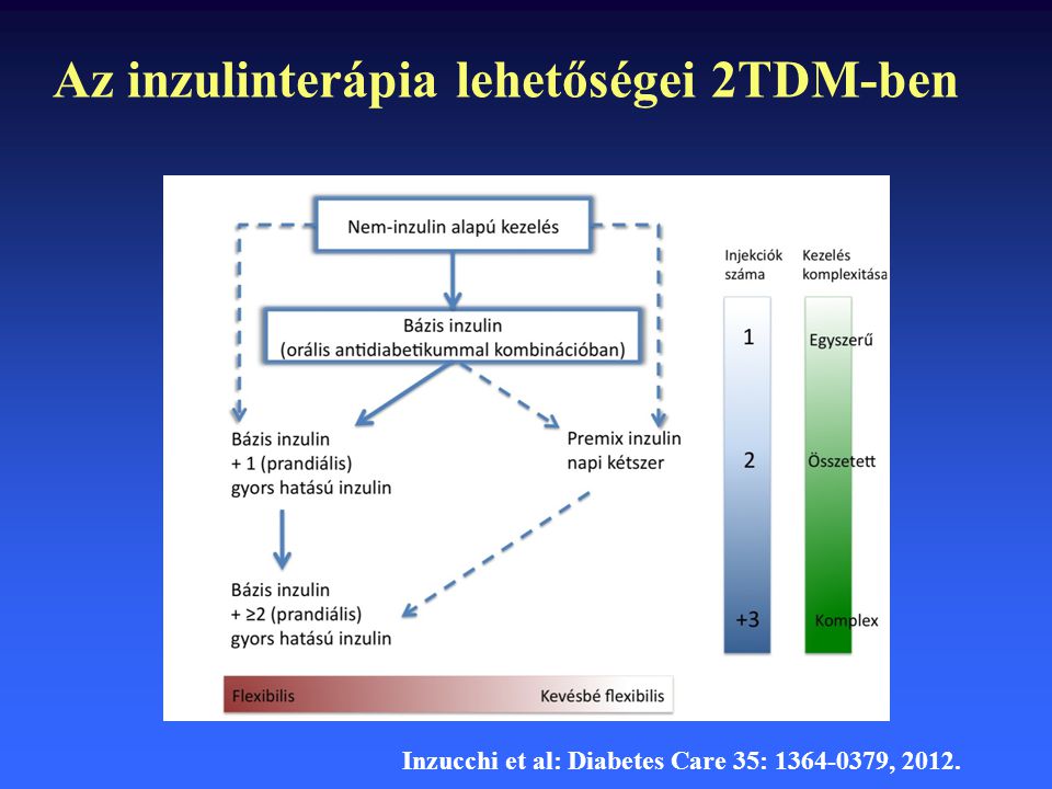 Az inzulinterápia lehetőségei 2TDM-ben