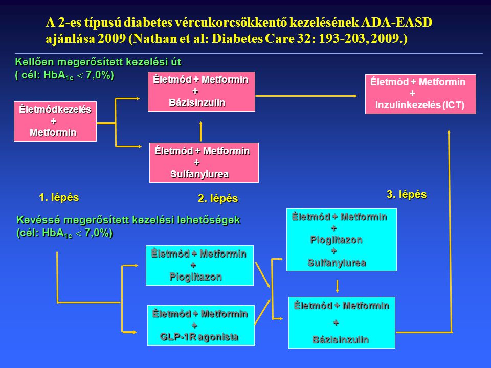 A 2-es típusú diabetes vércukorcsökkentő kezelésének ADA-EASD ajánlása 2009 (Nathan et al: Diabetes Care 32: , 2009.)
