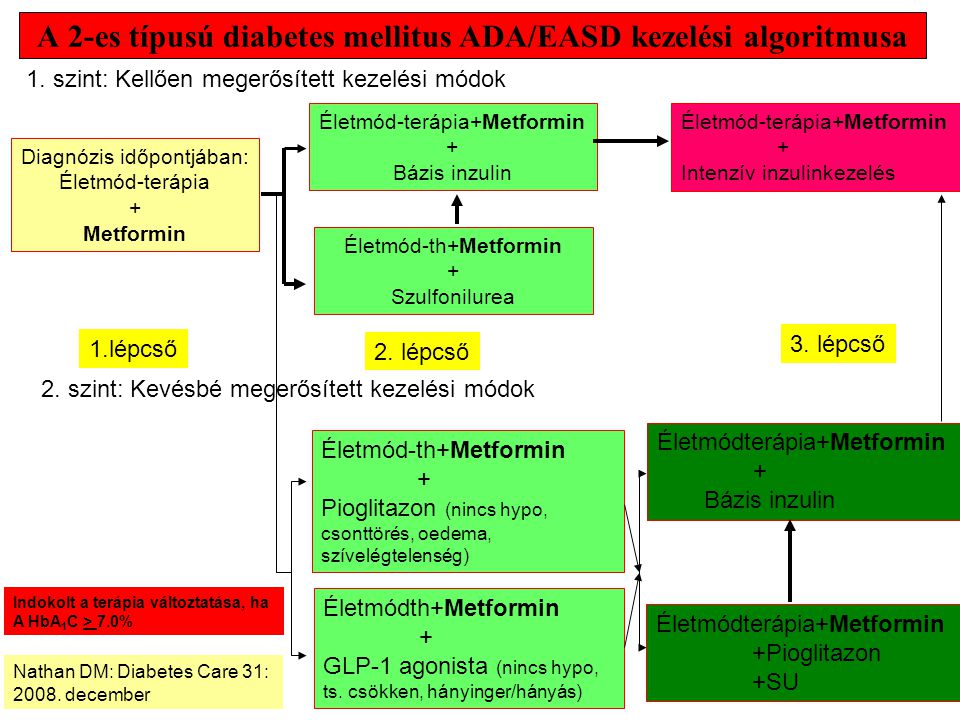 A 2-es típusú diabetes mellitus ADA/EASD kezelési algoritmusa