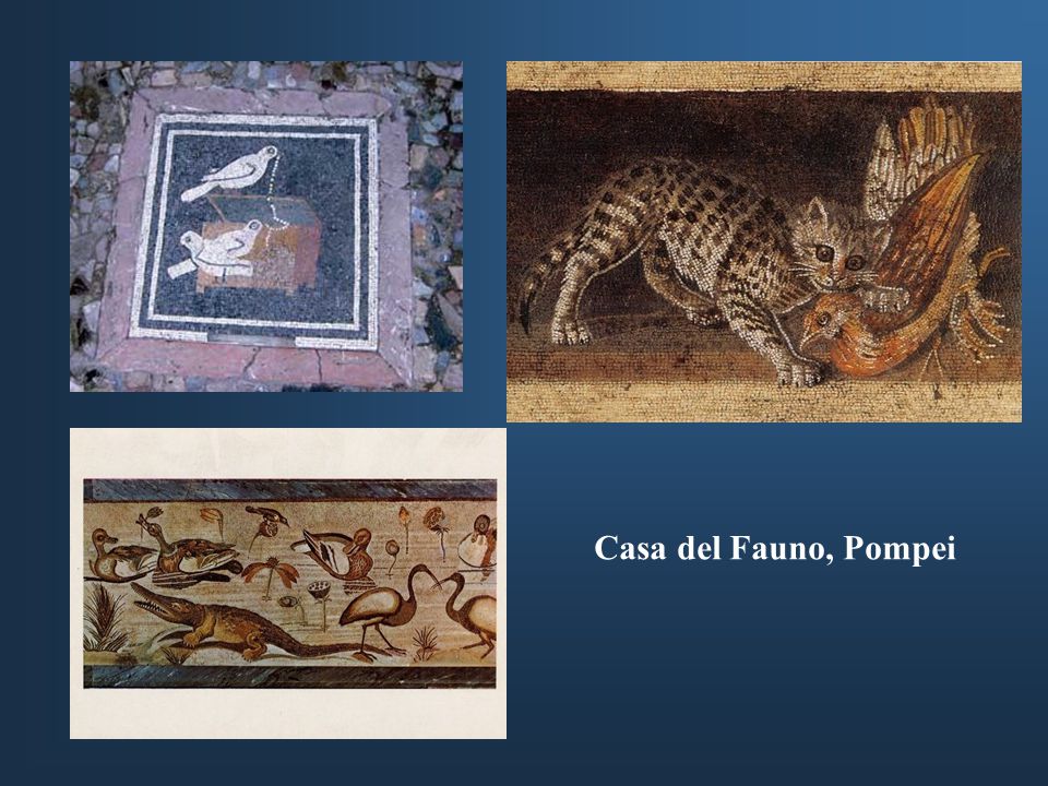 Casa del Fauno, Pompei