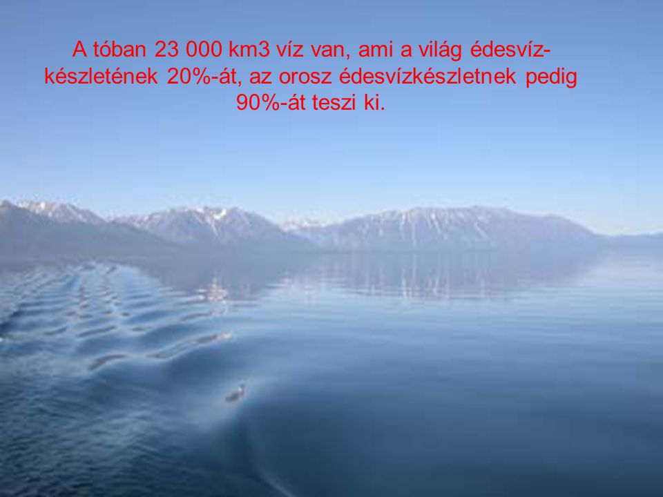 A tóban km3 víz van, ami a világ édesvíz-készletének 20%-át, az orosz édesvízkészletnek pedig 90%-át teszi ki.