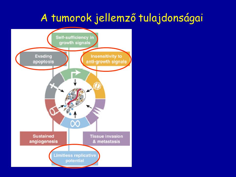A tumorok jellemző tulajdonságai