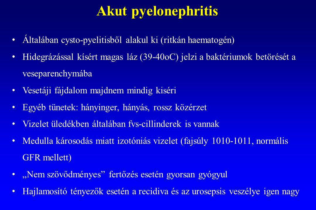 Akut pyelonephritis Általában cysto-pyelitisből alakul ki (ritkán haematogén)