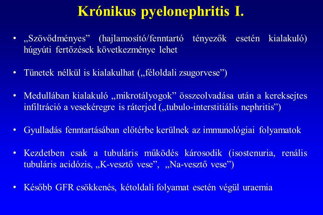 Krónikus pyelonephritis I.