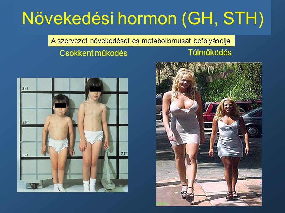 Növekedési hormon (GH, STH)
