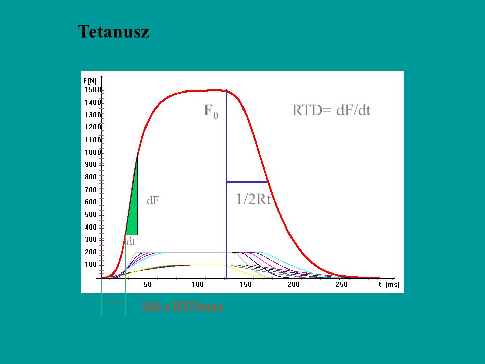 Tetanusz F0 RTD= dF/dt 1/2Rt dF dt Idő a RTDmax