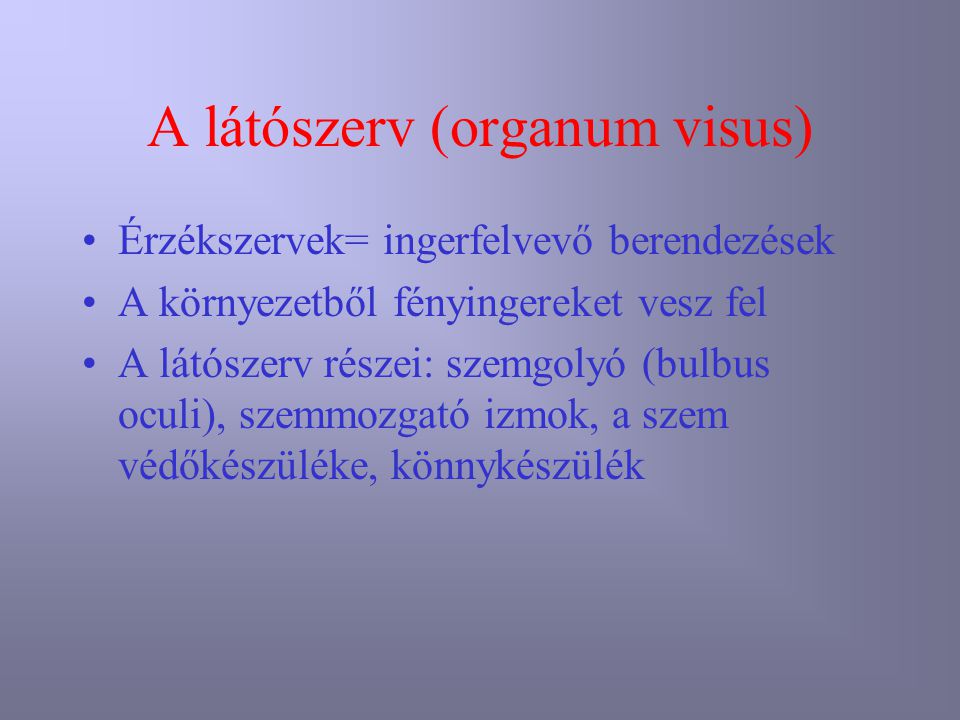A látószerv (organum visus)