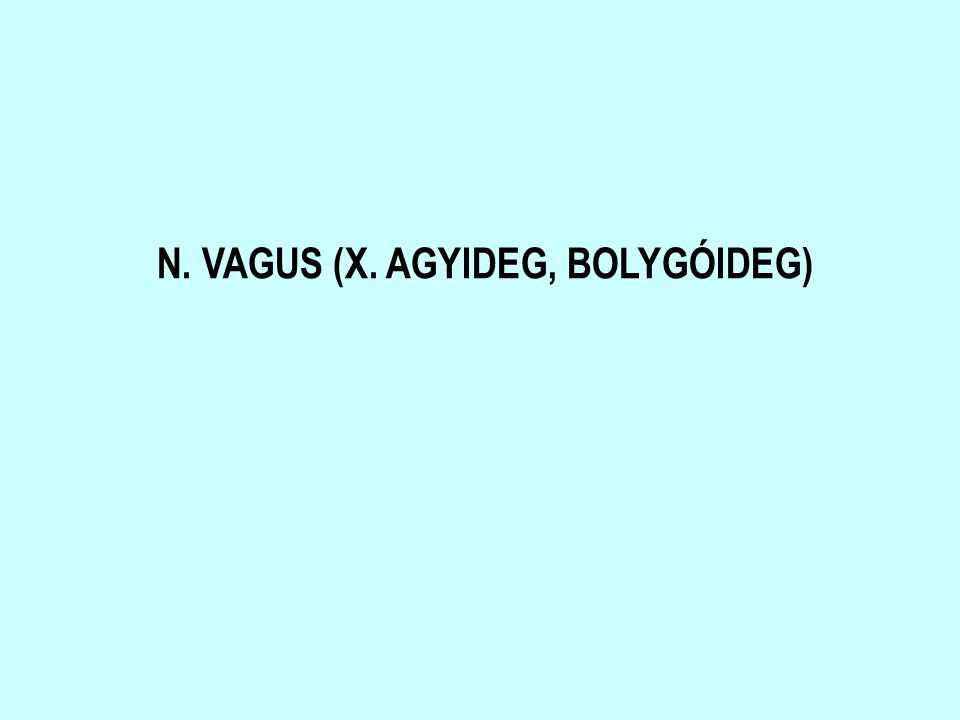N. VAGUS (X. AGYIDEG, BOLYGÓIDEG)
