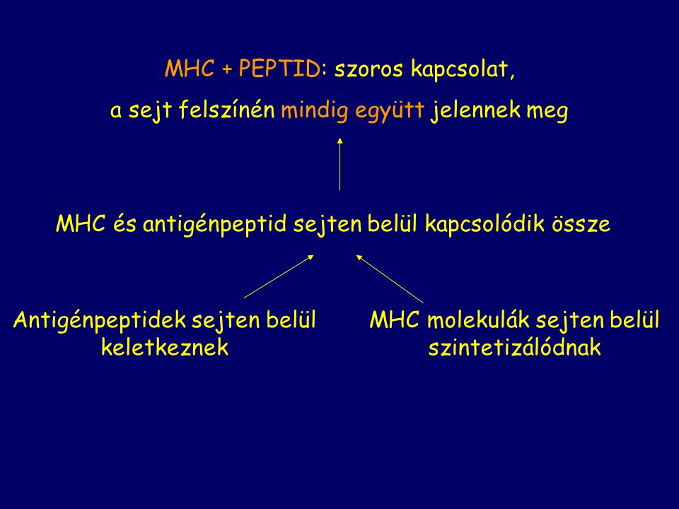 MHC + PEPTID: szoros kapcsolat,
