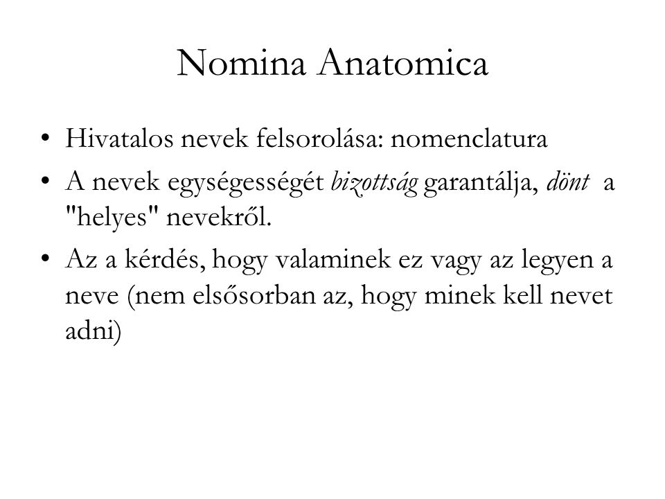Nomina Anatomica Hivatalos nevek felsorolása: nomenclatura