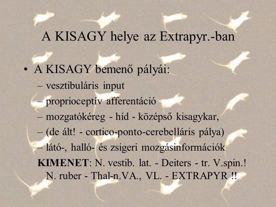 A KISAGY helye az Extrapyr.-ban