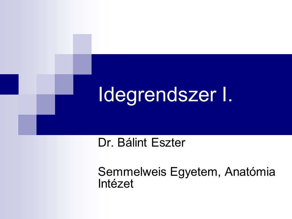Dr. Bálint Eszter Semmelweis Egyetem, Anatómia Intézet