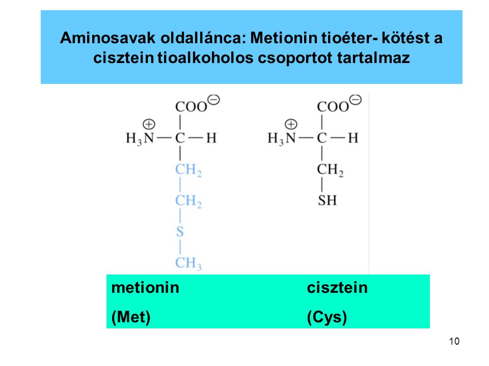 Aminosavak oldallánca: Metionin tioéter- kötést a cisztein tioalkoholos csoportot tartalmaz