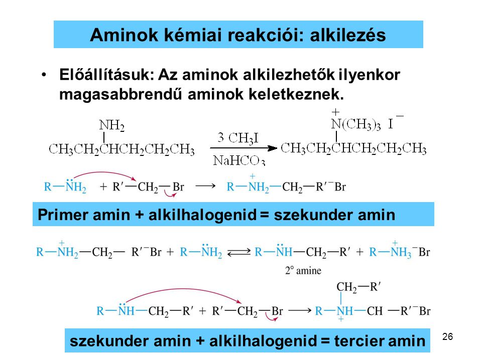 Aminok kémiai reakciói: alkilezés