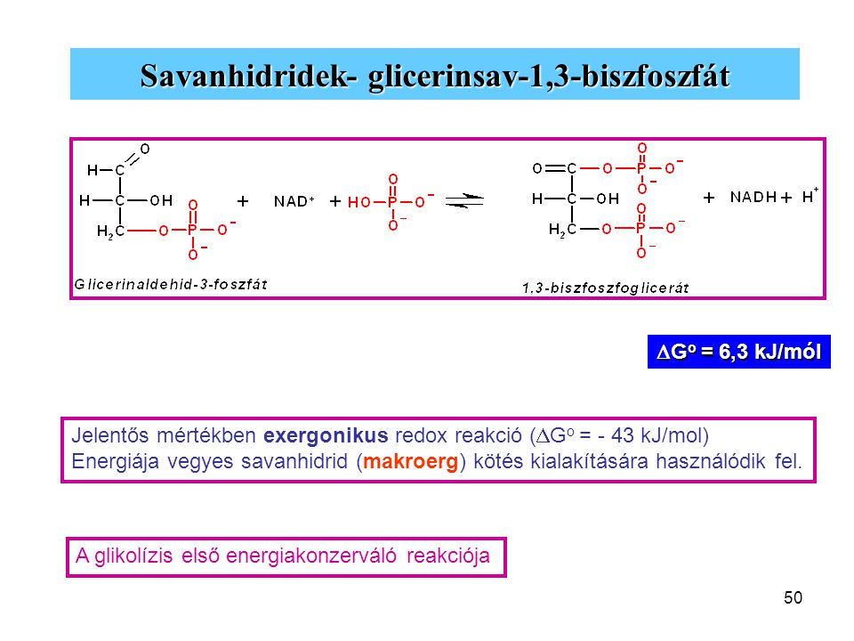 Savanhidridek- glicerinsav-1,3-biszfoszfát