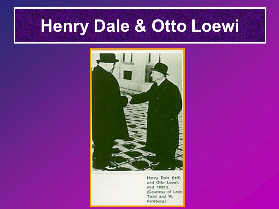 Henry Dale & Otto Loewi