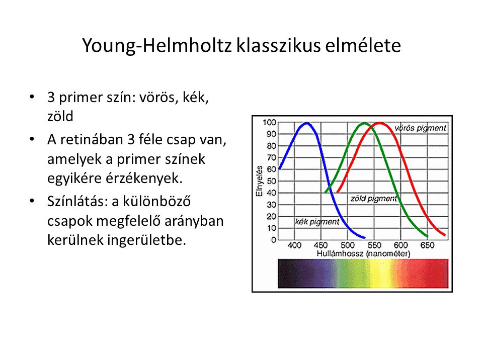 Young-Helmholtz klasszikus elmélete