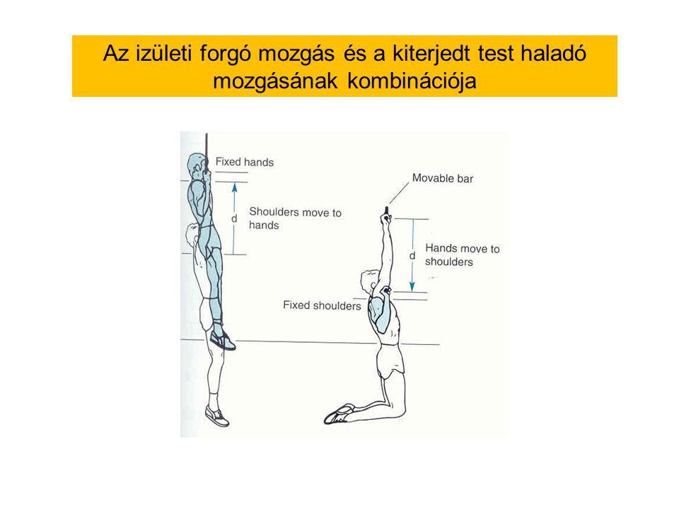 Az izületi forgó mozgás és a kiterjedt test haladó mozgásának kombinációja