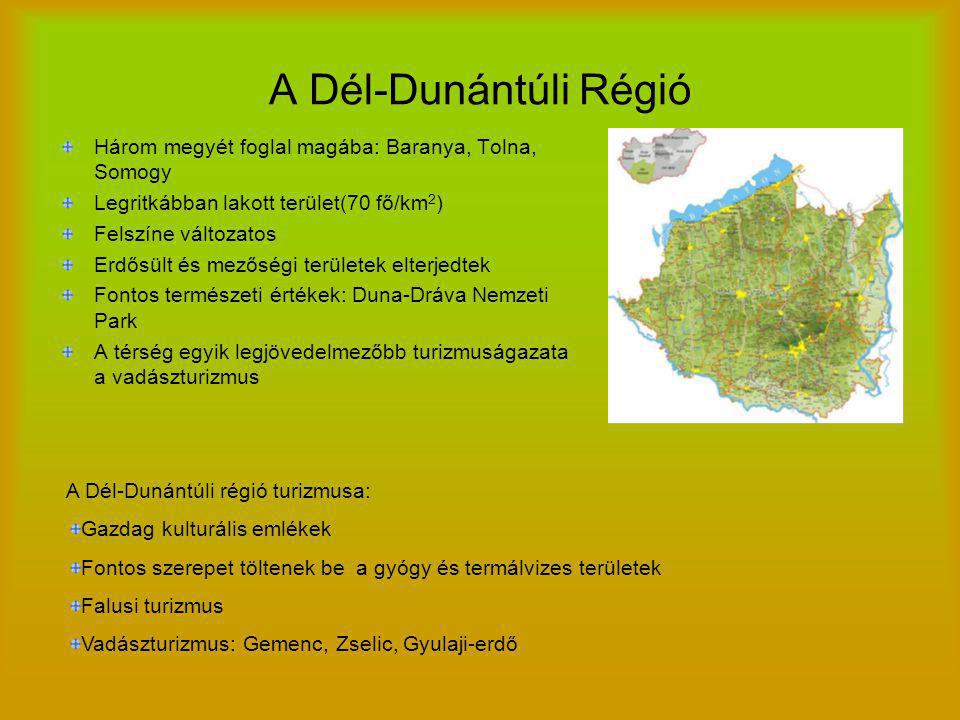 A Dél-Dunántúli Régió Három megyét foglal magába: Baranya, Tolna, Somogy. Legritkábban lakott terület(70 fő/km2)