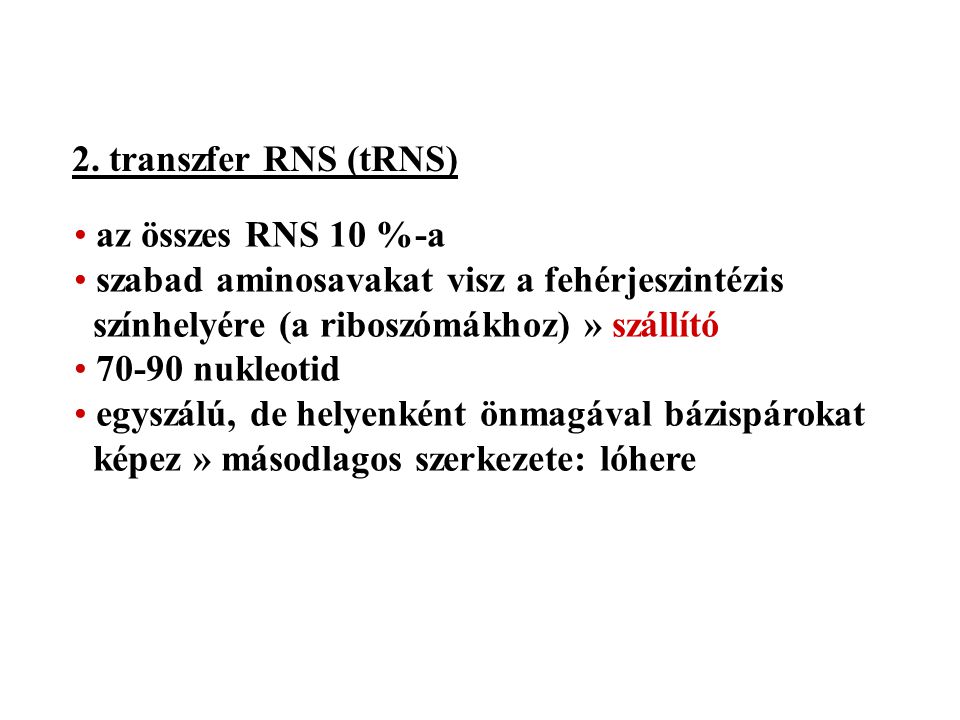 2. transzfer RNS (tRNS) az összes RNS 10 %-a. szabad aminosavakat visz a fehérjeszintézis színhelyére (a riboszómákhoz) » szállító.