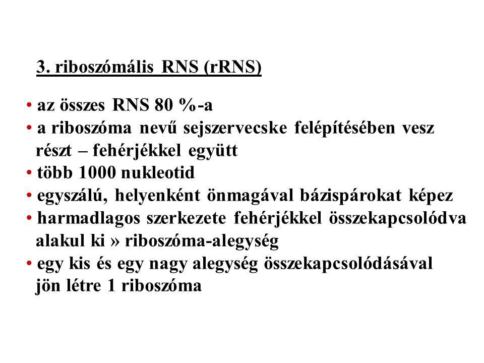 3. riboszómális RNS (rRNS)