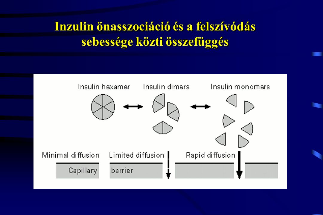 Inzulin önasszociáció és a felszívódás sebessége közti összefüggés