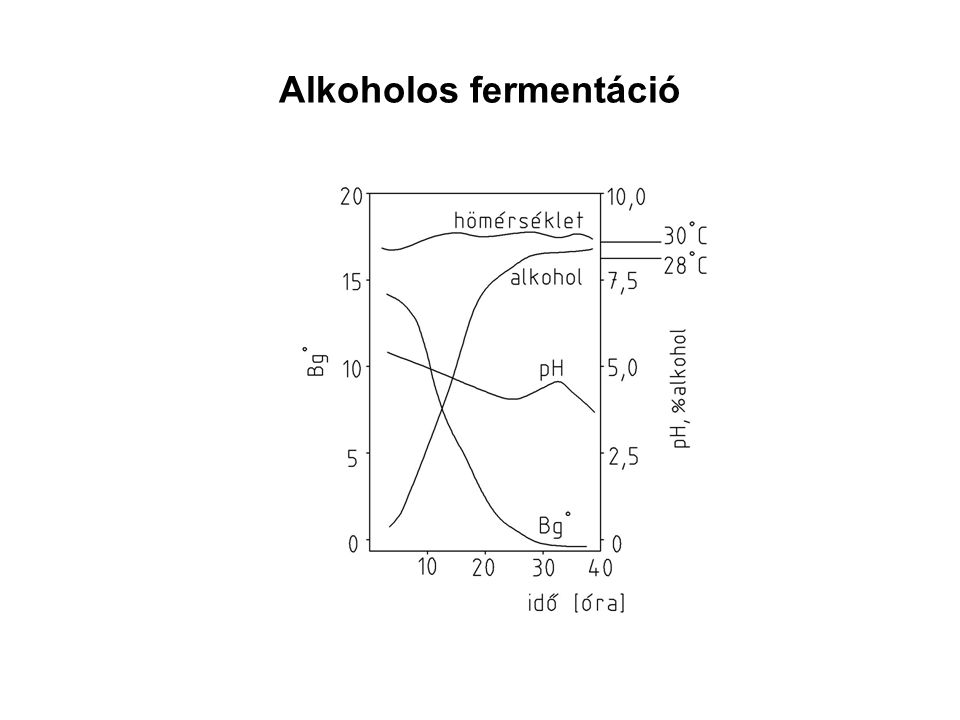 Alkoholos fermentáció