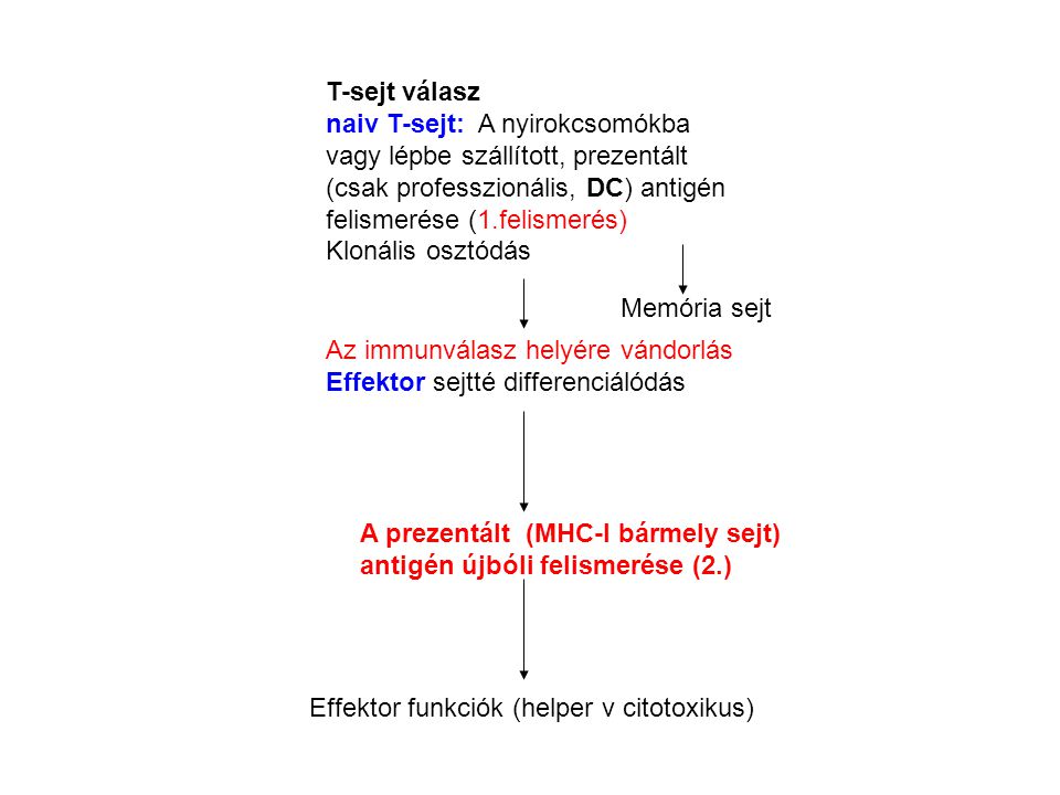 T-sejt válasz naiv T-sejt: A nyirokcsomókba vagy lépbe szállított, prezentált (csak professzionális, DC) antigén felismerése (1.felismerés)
