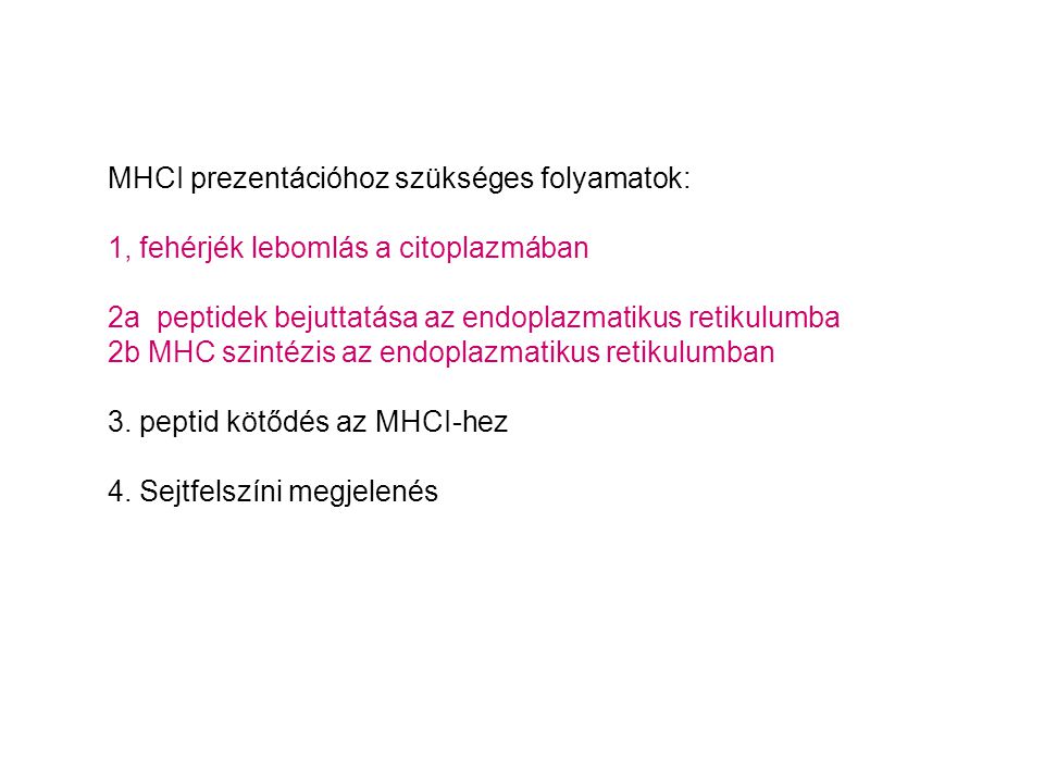 MHCI prezentációhoz szükséges folyamatok:
