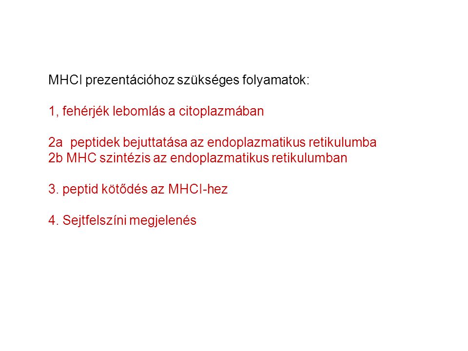 MHCI prezentációhoz szükséges folyamatok: