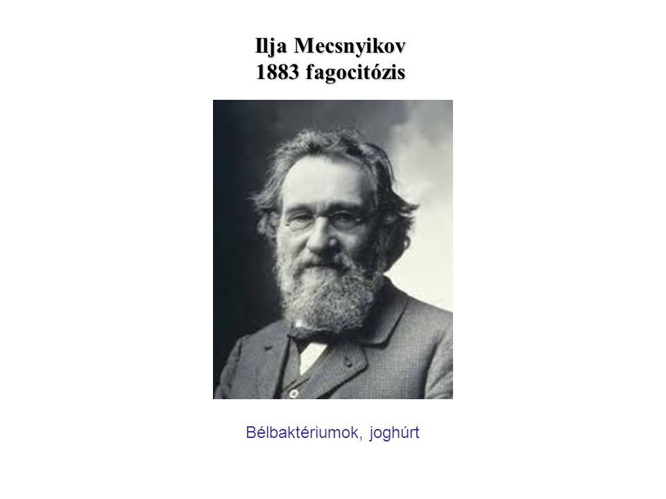 Ilja Mecsnyikov 1883 fagocitózis