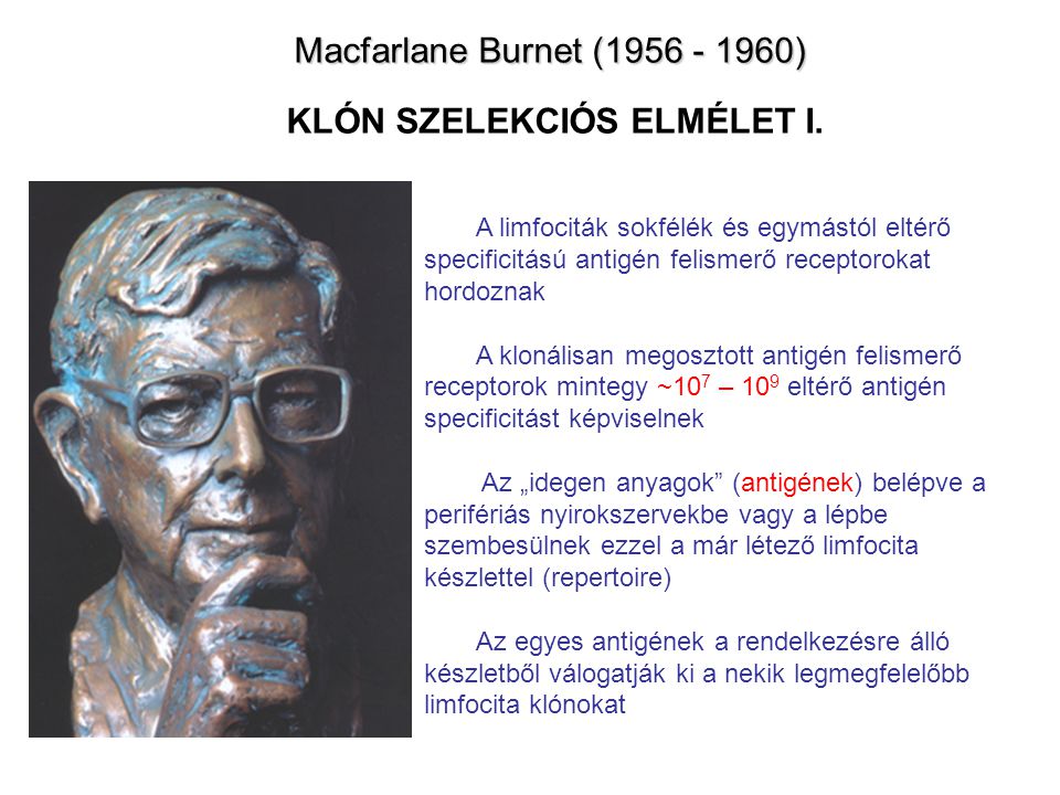 Macfarlane Burnet ( ) KLÓN SZELEKCIÓS ELMÉLET I.