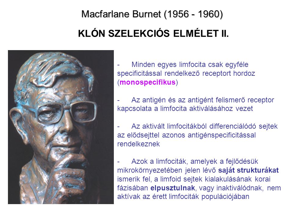 Macfarlane Burnet ( ) KLÓN SZELEKCIÓS ELMÉLET II.