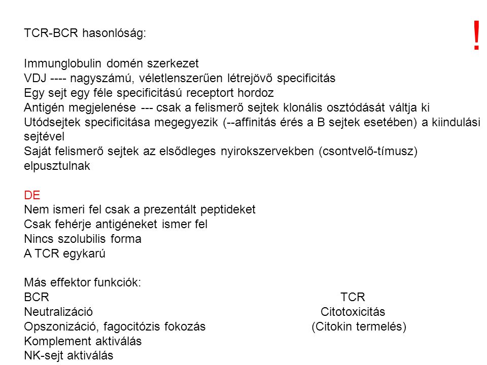 ! TCR-BCR hasonlóság: Immunglobulin domén szerkezet