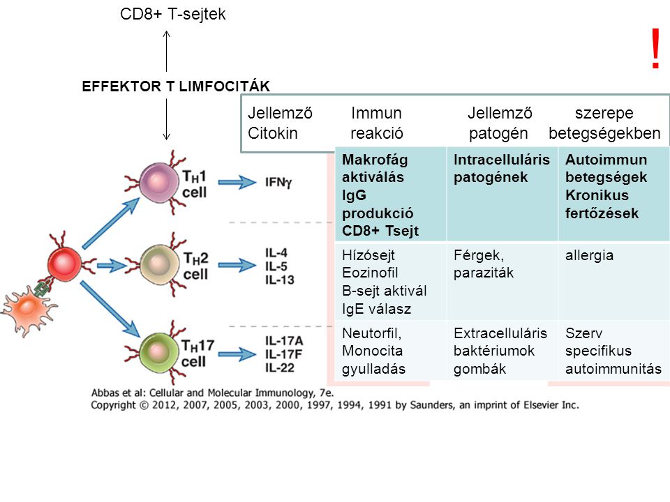 ! CD8+ T-sejtek Jellemző Immun Jellemző szerepe