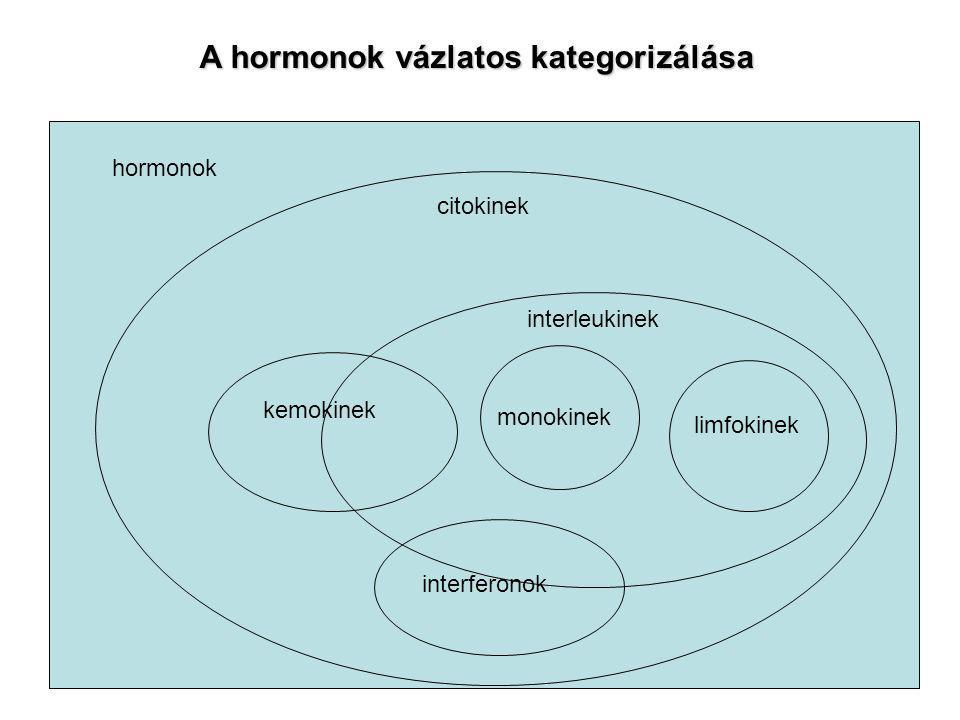 A hormonok vázlatos kategorizálása