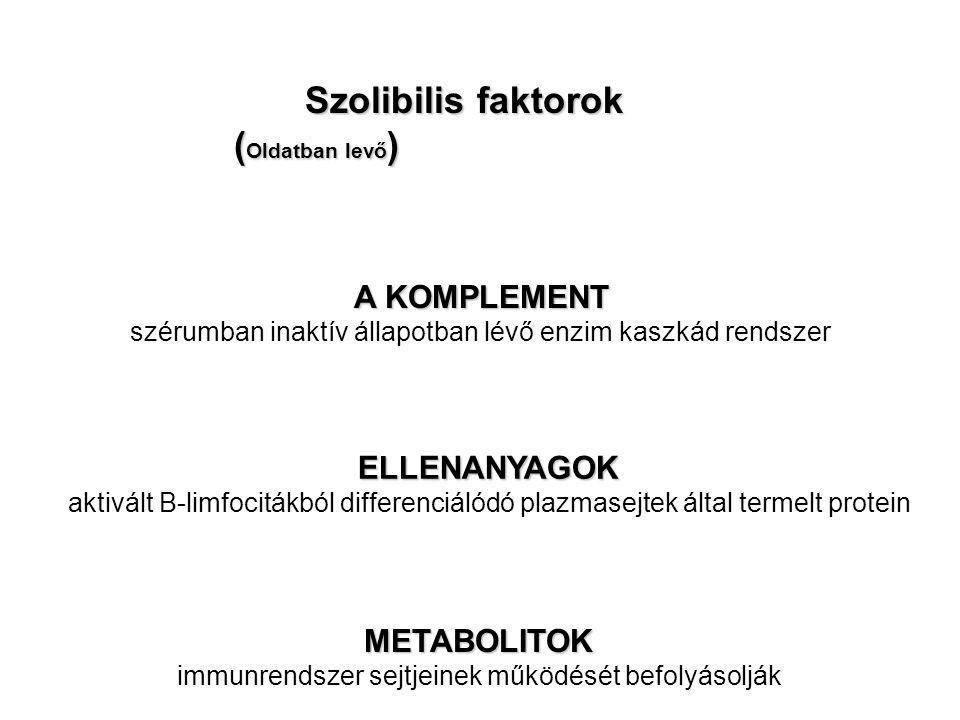 Szolibilis faktorok (Oldatban levő) A KOMPLEMENT ELLENANYAGOK