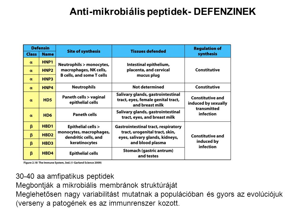 Anti-mikrobiális peptidek- DEFENZINEK