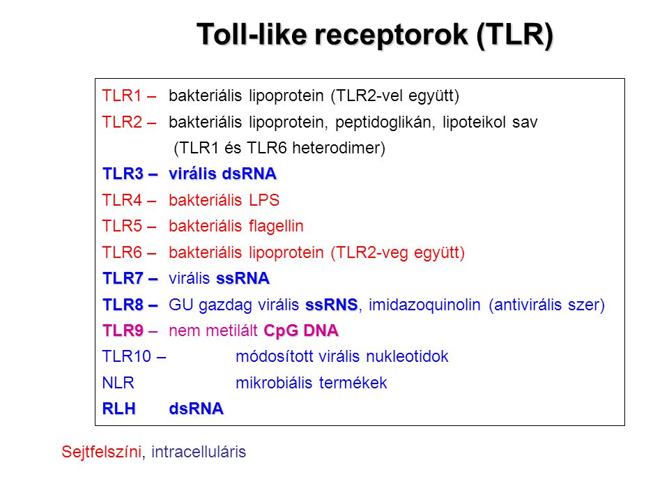 Toll-like receptorok (TLR)