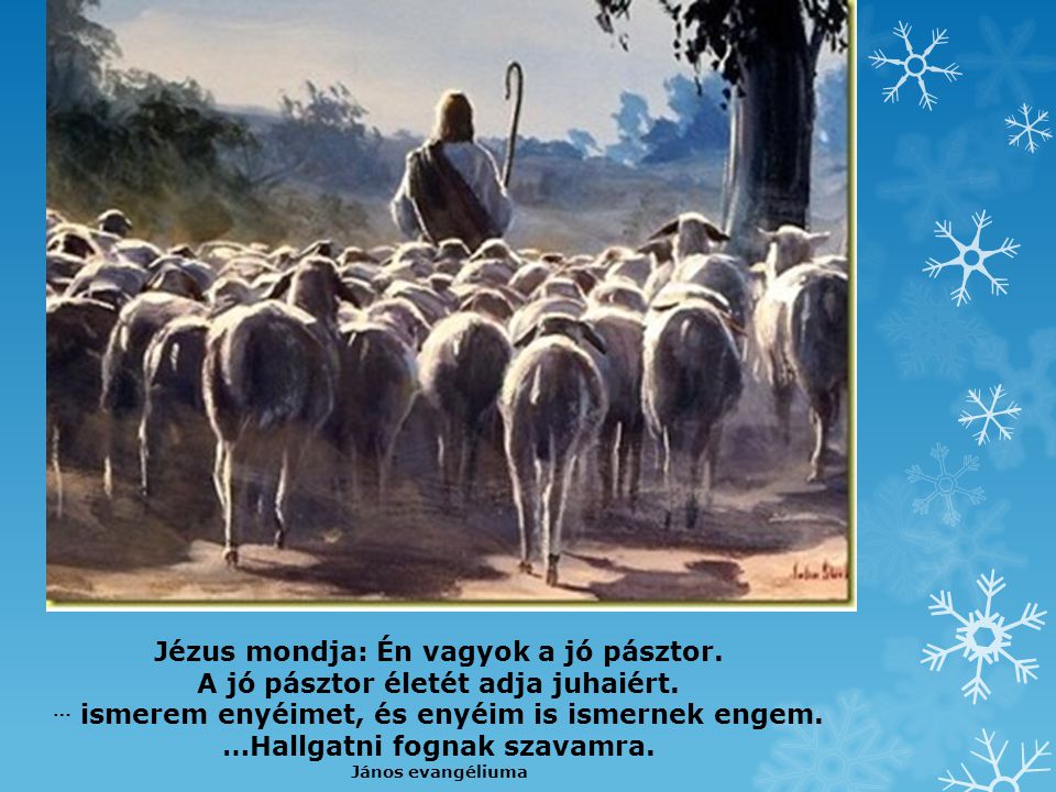 Jézus mondja: Én vagyok a jó pásztor.